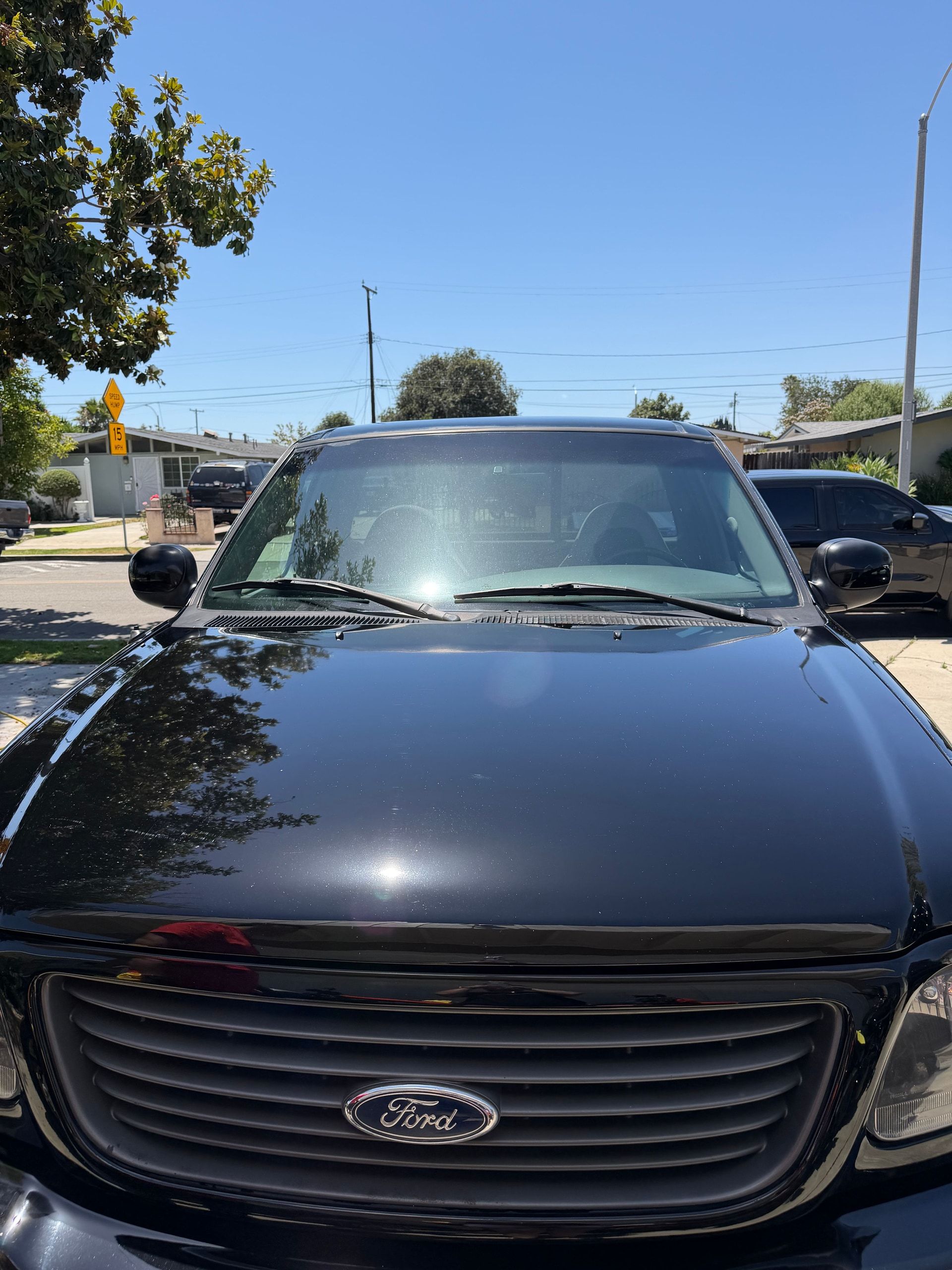 The same black Ford F-150 Lightning hood after detailing, clean and glossy with trees reflected in the paint.