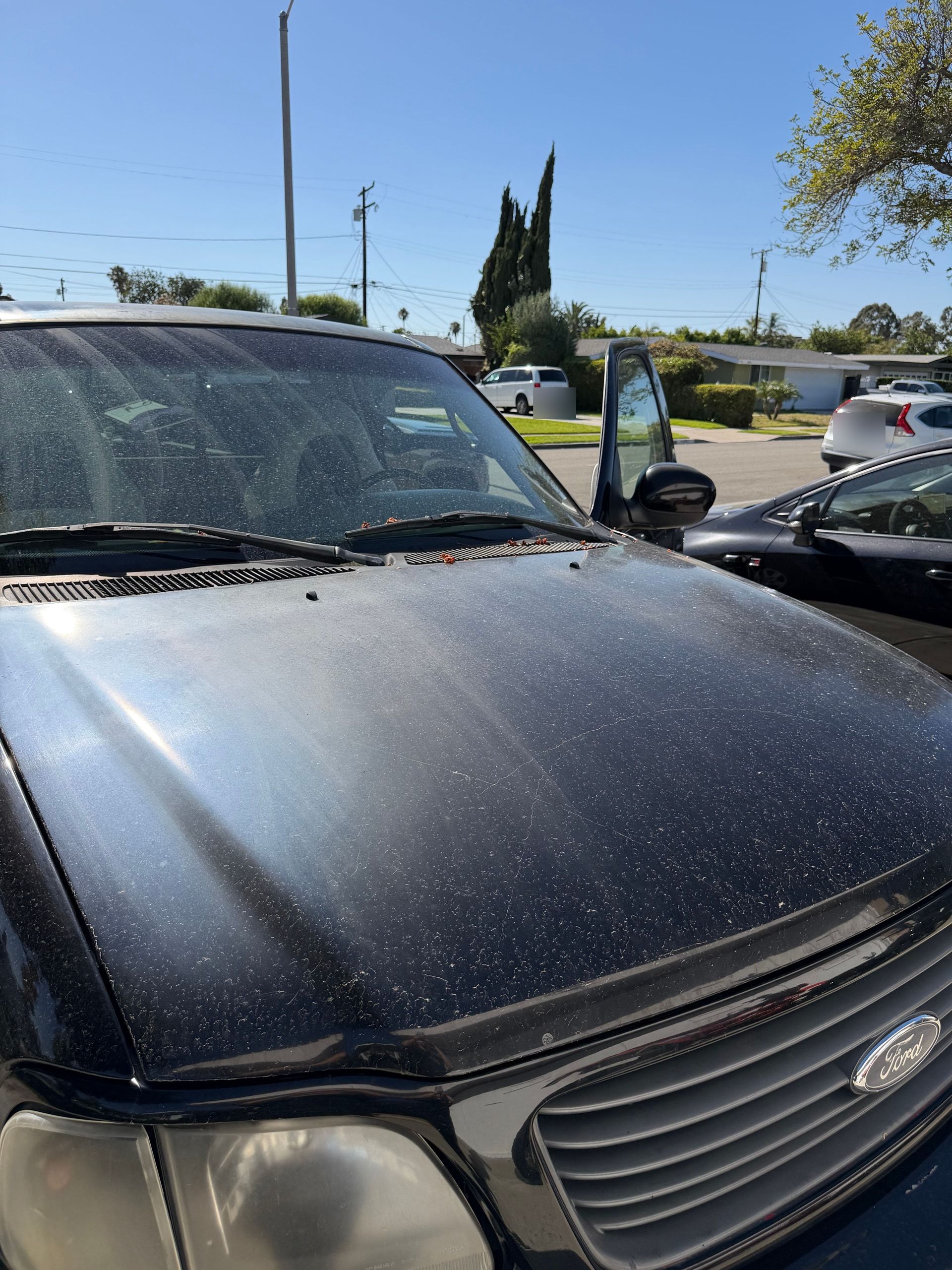 Black Ford F-150 Lightning hood covered in dust and pollen, with dull paint and cloudy headlights, before detailing.