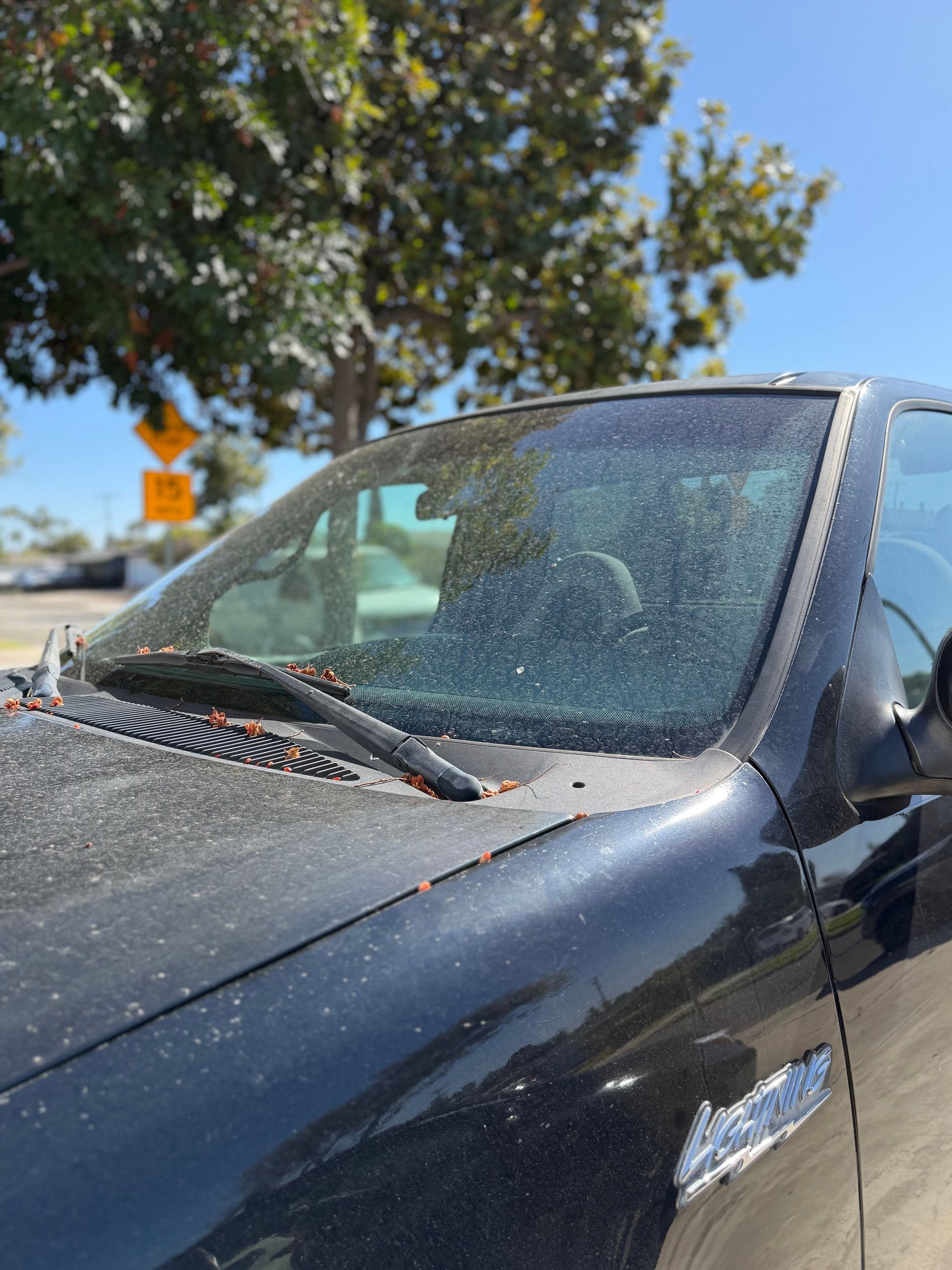 Driver side of a black Ford F-150 Lightning with a dusty windshield, pollen on the cowl and dull paint around the Lightning badge, before detailing.